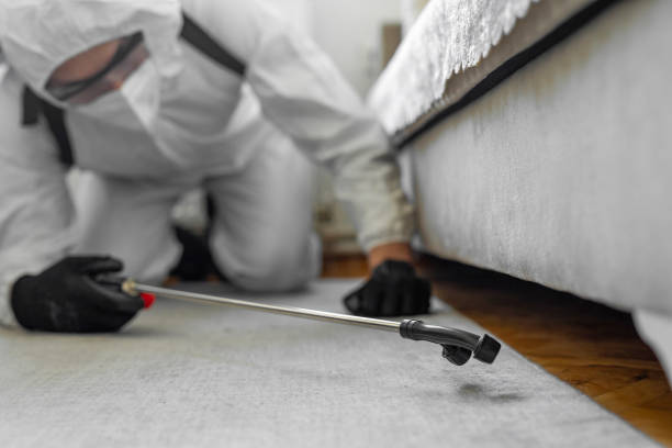 Professional Termite Control technician working in Whitesboro, NY