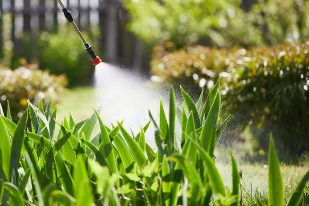 24/7 Emergency Termite Control experts in Whitesboro, NY