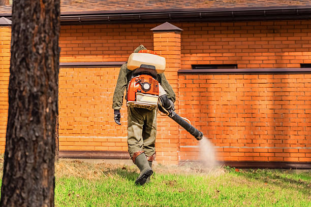 Trusted Emergency Pest Control service in Whitesboro, NY - Nex Pest Control